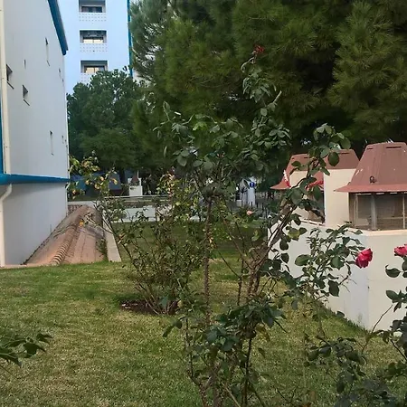 Ancora Na *