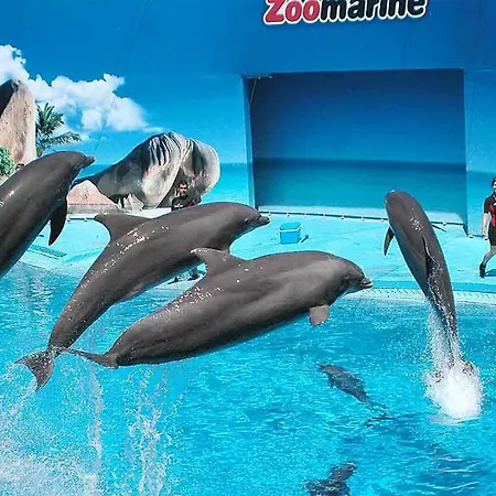 Ancora Na Apartament Portimão